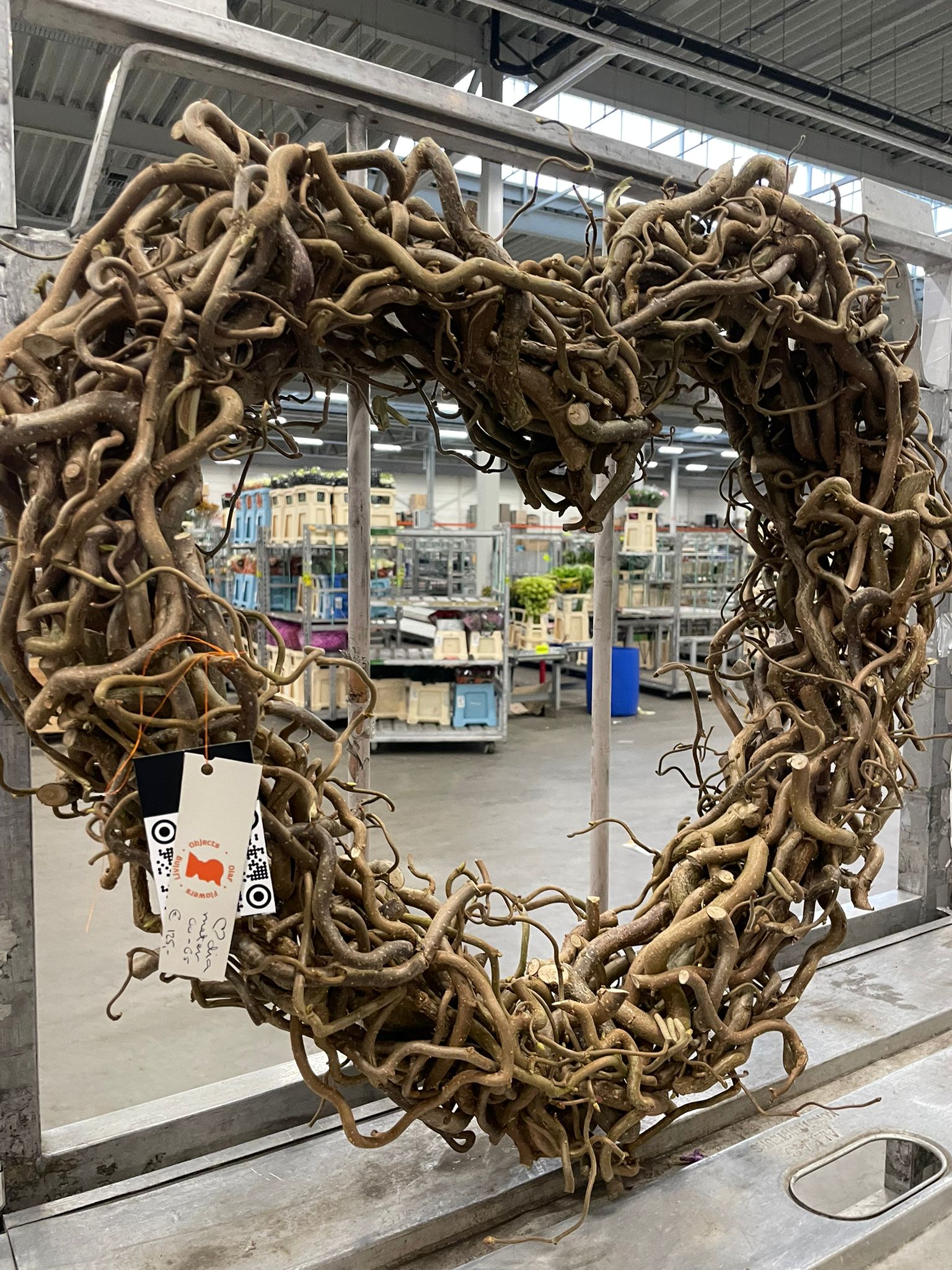 Corylus kransen