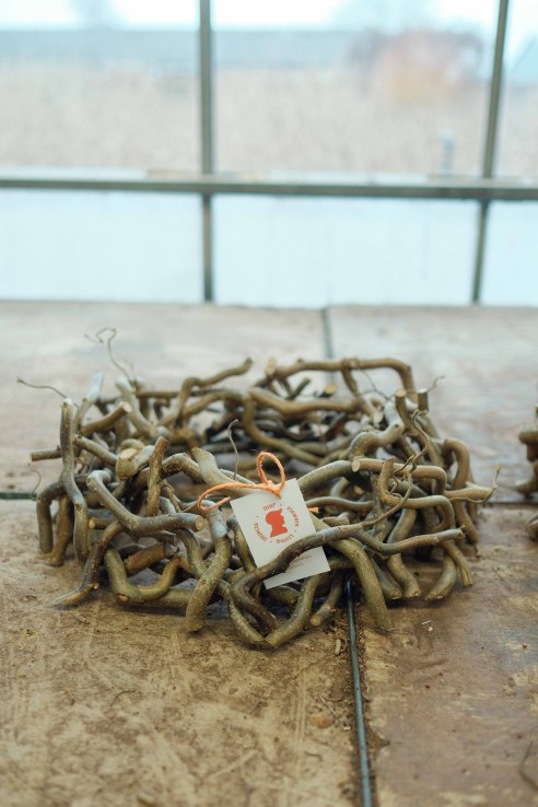 Corylus kransen