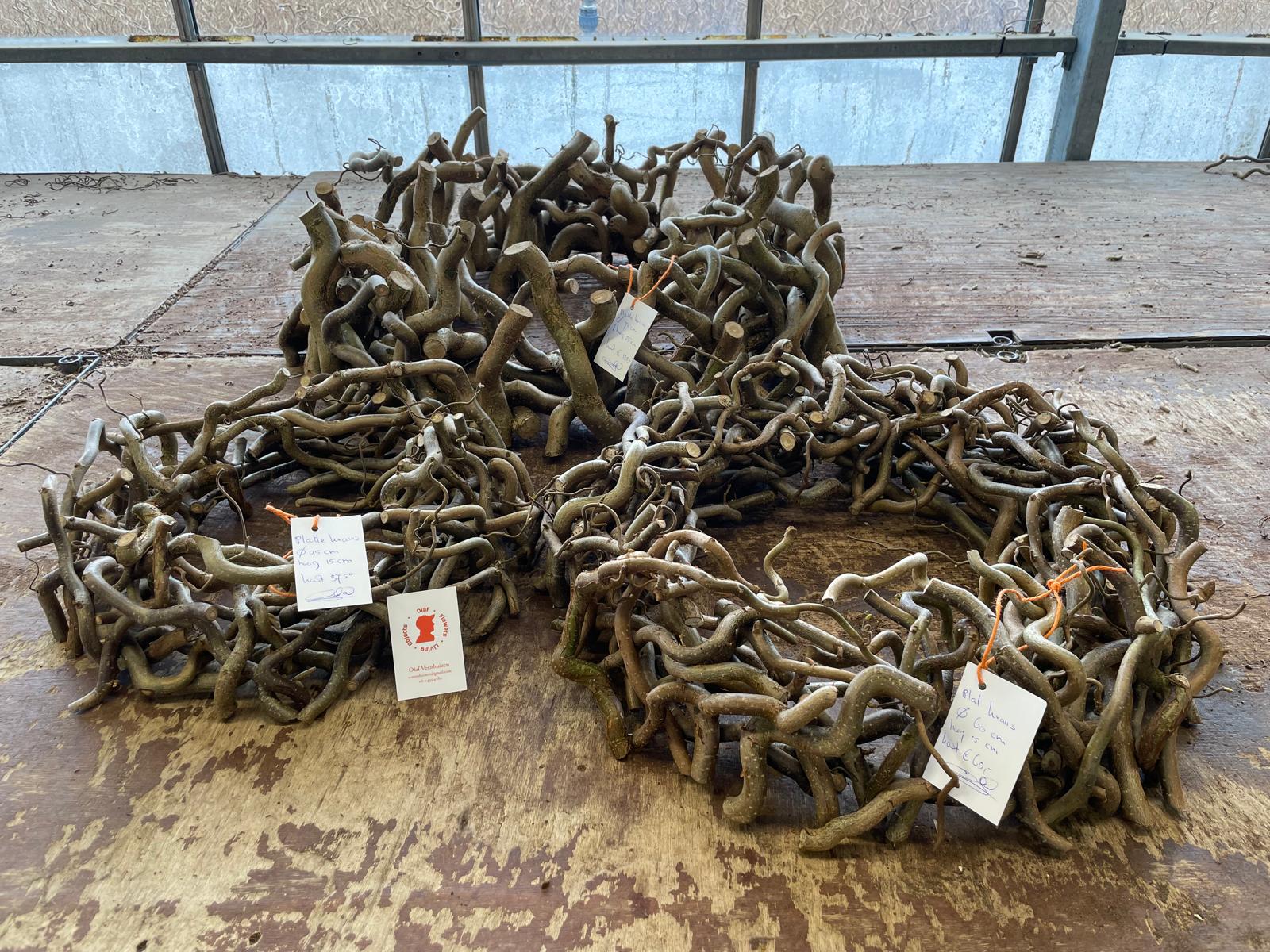 Corylus krans plat