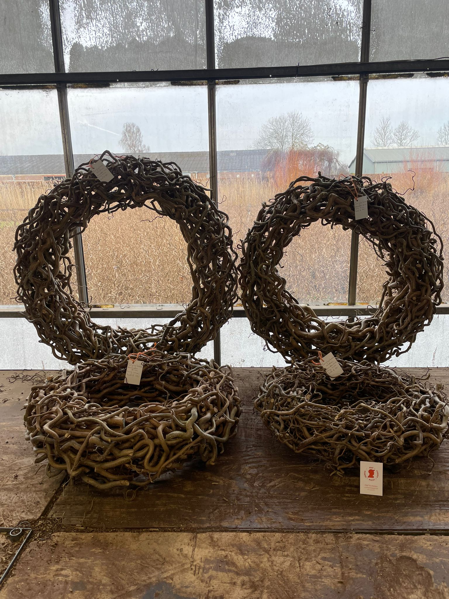 Corylus krans rondom gewikkeld