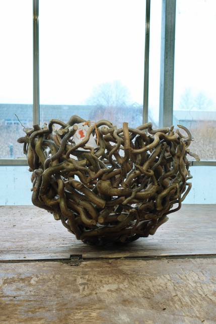 Corylus kransen