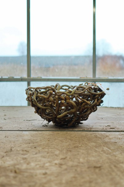 Corylus kransen