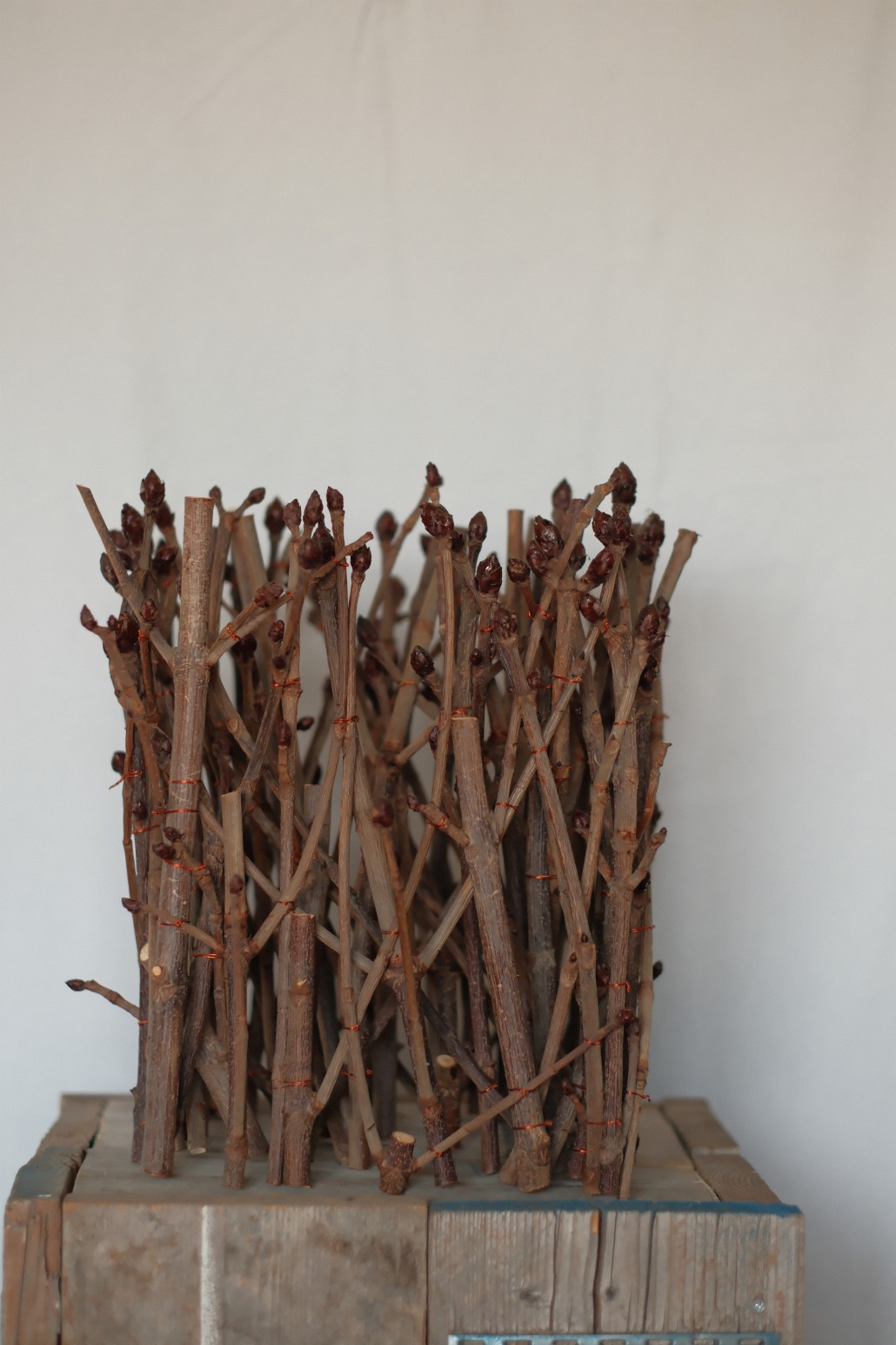 Sticks